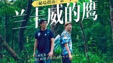 蓝狐视频