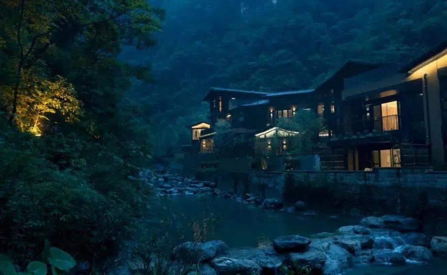 小猫钓鱼正版下载中文版